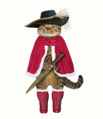 Şapkadaki Kedi silahşör bir kılıç tutan. Beyaz arka plan