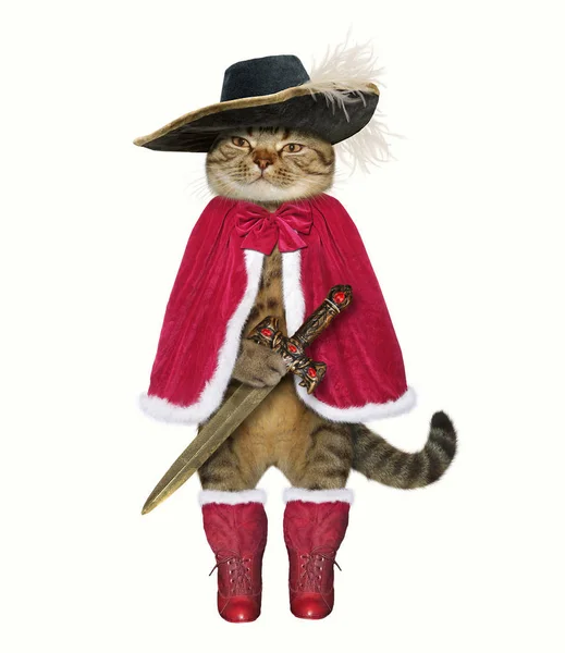 Den Katt Musketör Hatten Håller Ett Svärd Vit Bakgrund — Stockfoto