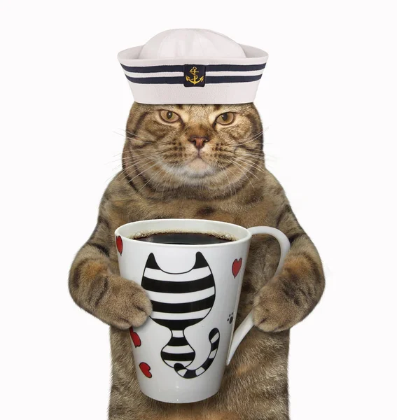 Kot Marynarza Kapelusz Trzyma Kubek Czarnej Kawy Białe Tło — Zdjęcie stockowe