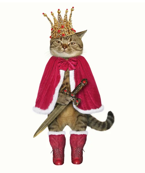 Kočičí Král Zlaté Koruně Drží Meč Bílé Pozadí — Stock fotografie