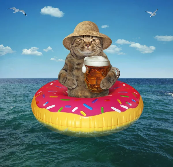 Gato Chapéu Palha Com Uma Caneca Cerveja Está Círculo Inflável — Fotografia de Stock