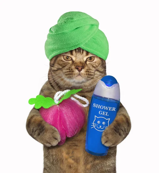 Katten Med Grön Handduk Runt Hans Innehar Svamp För Dusch — Stockfoto