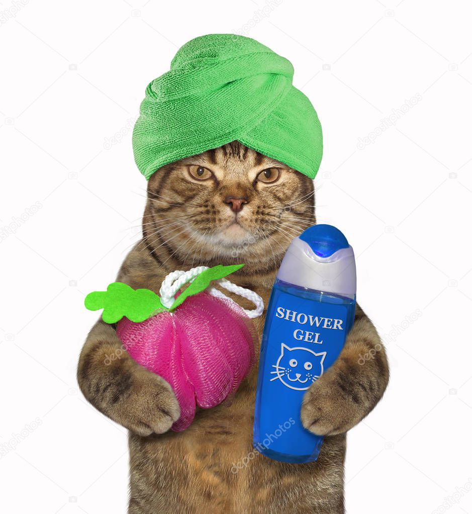 The cat with a green towel around his holds a sponge for shower and a blue bottle of gel. White background.