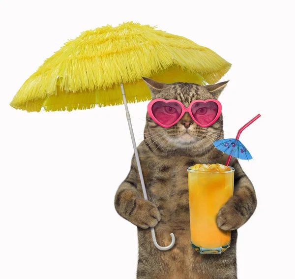 Cat Pink Sunglasses Holds Yellow Umbrella Glass Fruit Juice White Stock Picture