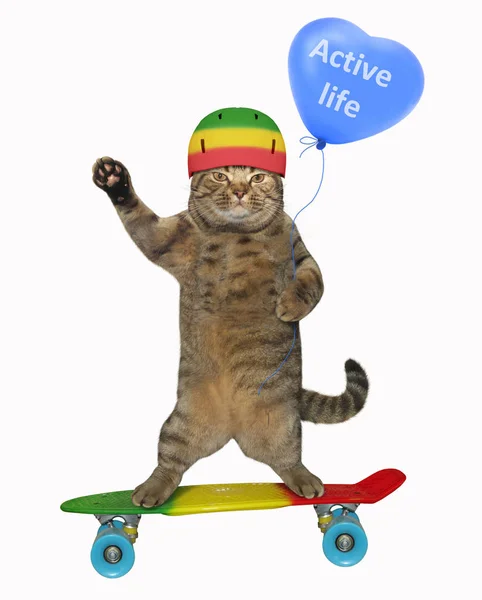 Katten Den Skyddande Hjälmen Innehar Blå Ballong Och Rider Skateboard — Stockfoto