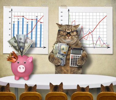 Kedi mali koç öğrencilerinin para kazanmak öğretir.