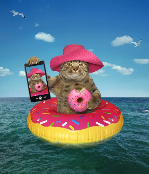 Gato Sombrero Paja Rosa Con Una Rosquilla Hace Selfie Círculo — Foto de Stock