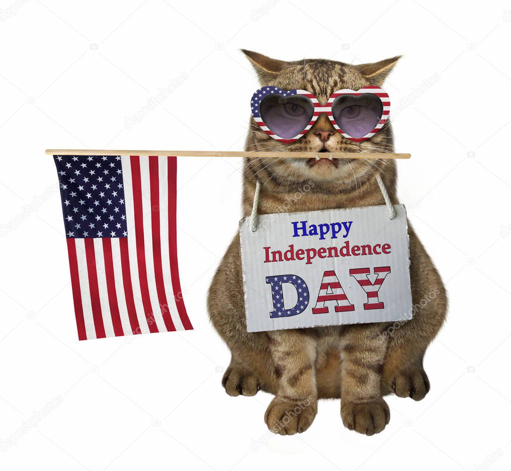 The cat in sunglasses with the American flag. White background.