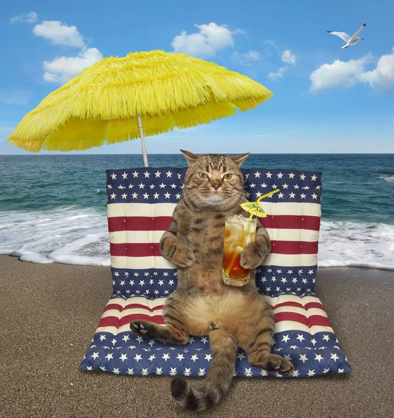 The cat with a glass of cold tea sits on a air bed under a yellow umbrella on the beach.