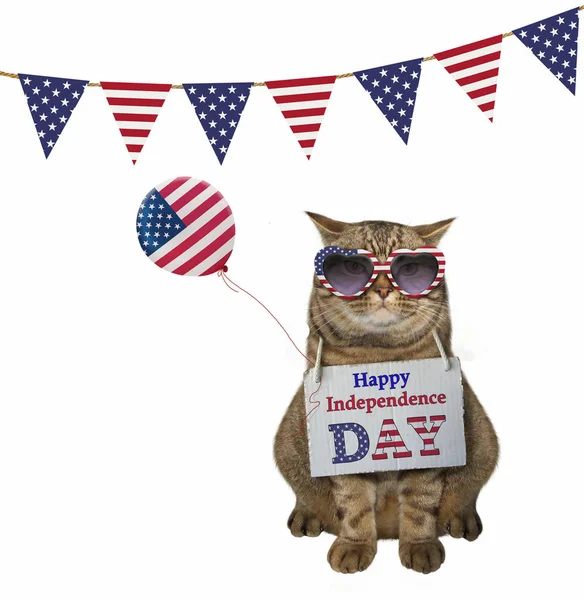 Cat Sunglasses American Balloon White Background — Stock Photo, Image