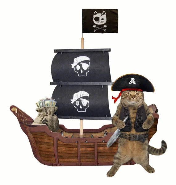 The cat pirate in a tricorn with a knife is near the sailing ship. White background.