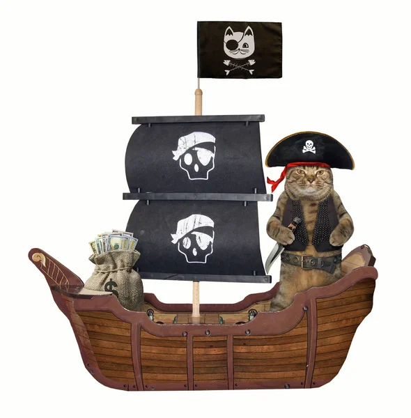 The cat pirate in a tricorn with a knife is on the sailing ship. White background.