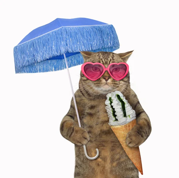 Gato Gafas Sol Come Cono Helado Bajo Paraguas Azul Fondo — Foto de Stock