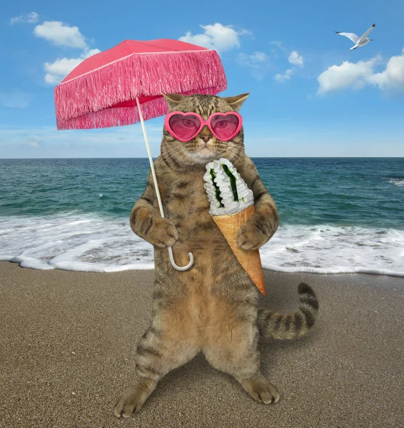 Cat Pink Sunglasses Umbrella Eats Ice Cream Cone Beach — Stock Photo, Image