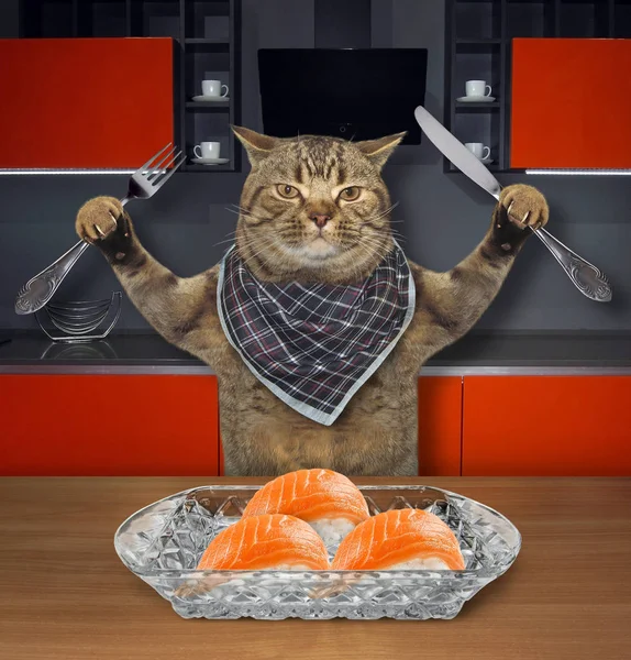 Die Hungrige Katze Mit Messer Und Gabel Isst Sushi Der — Stockfoto