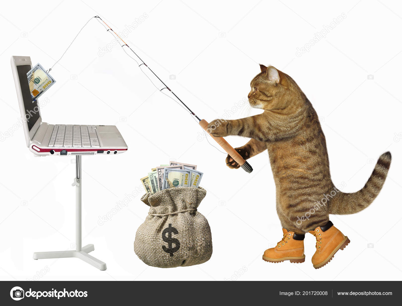 Cat Fisher Catches Dollars Computer Fishing Rod White Background — Stock  Photo © Iridi #201720008