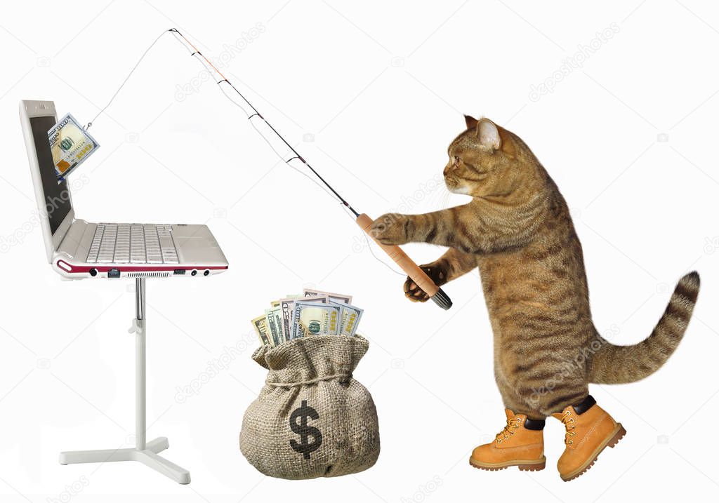 The cat fisher catches dollars from the computer with a fishing rod. White background.