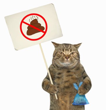 Kedi bir işaret 