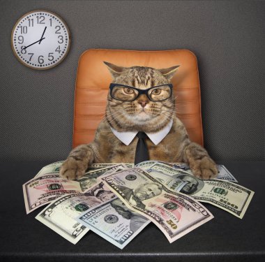 Akıllı kedi üzerinde orada bir sürü Amerikan doları masada oturur.