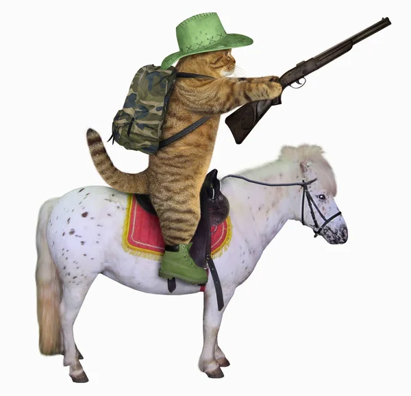 Kat Cowboy Met Een Geweer Rijdt Een Paard Witte Achtergrond — Stockfoto
