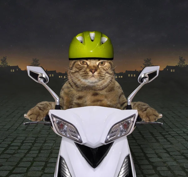 The cool cat in a green helmet is riding a white motorbike at night.