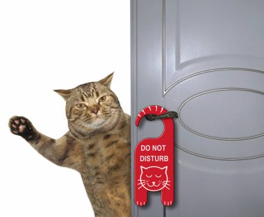 Kedi kapı kapanır. Bir işaret 