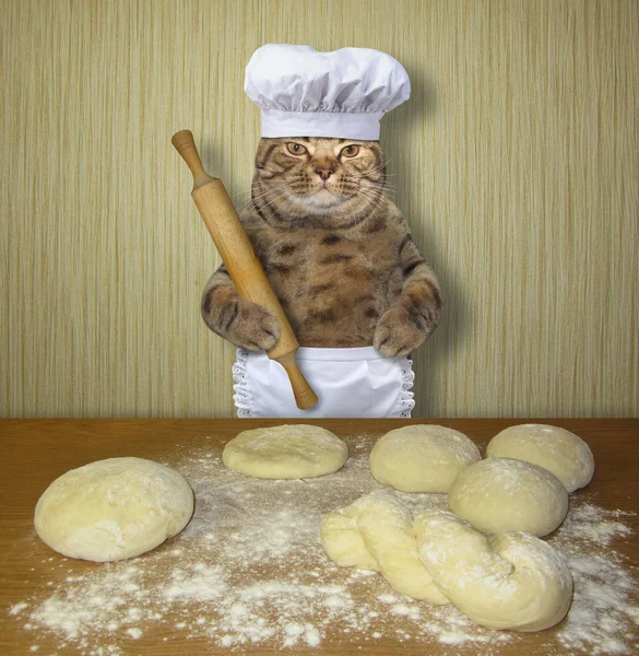 Piekarz Kot Jest Wyrabiania Ciasta Stole Kuchni — Zdjęcie stockowe