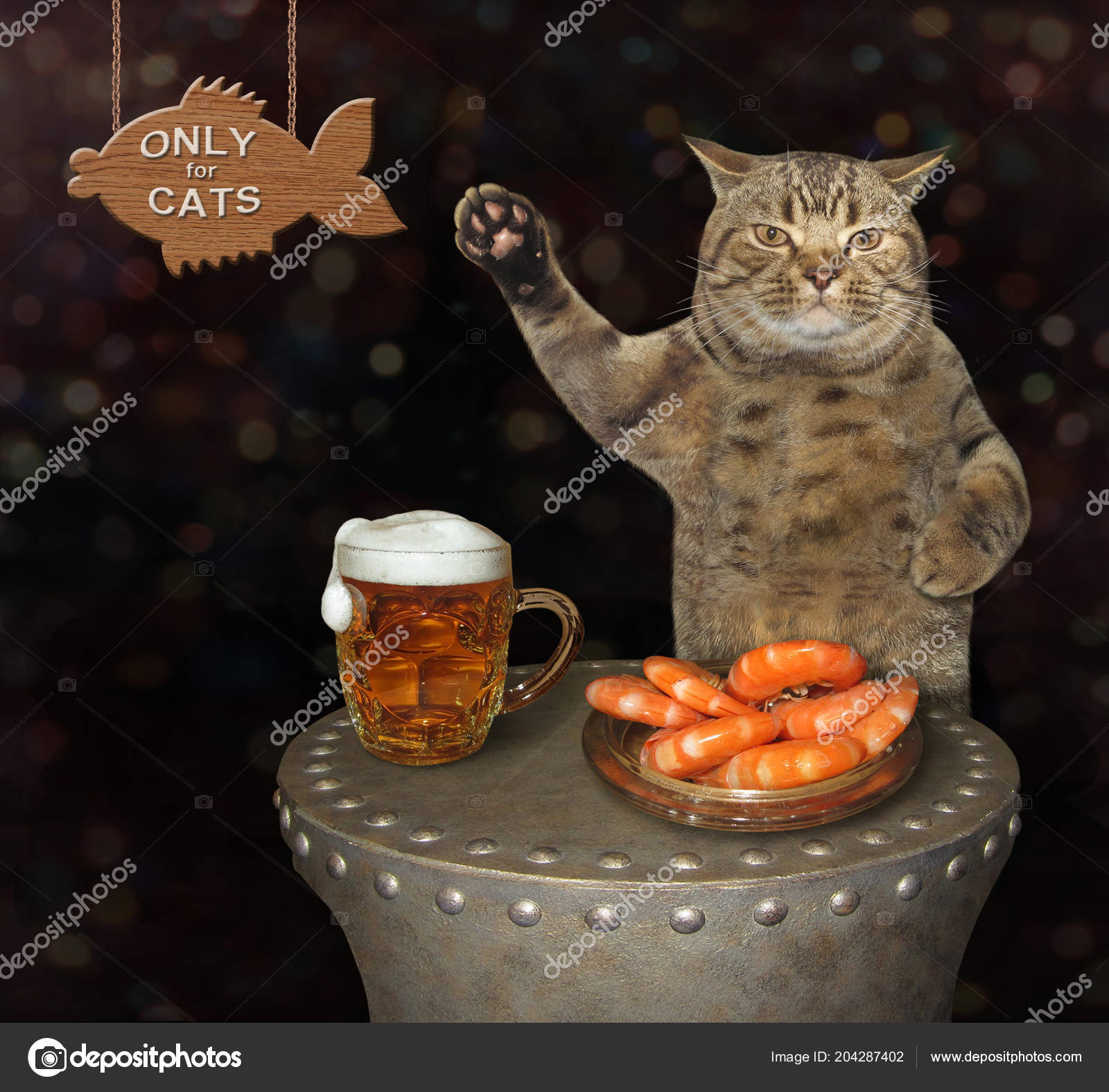 cats and shrimp