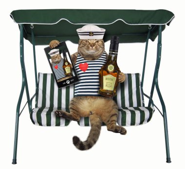 Bir şişe rom ve bir akıllı telefon ile kedi denizci bir salıncak bankta oturur. Beyaz arka plan.