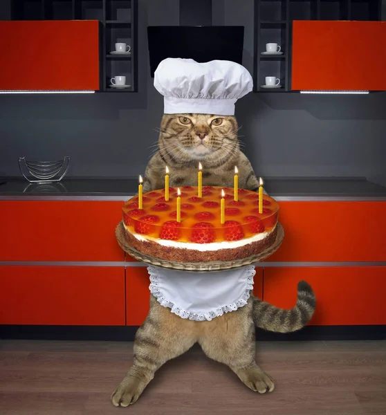 The cat chef holds a birthday fruit cake with candles in the kitchen.