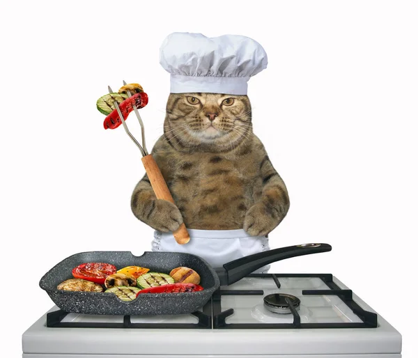 Chefe Gato Está Fritando Legumes Uma Frigideira Fogão Gás Fundo — Fotografia de Stock
