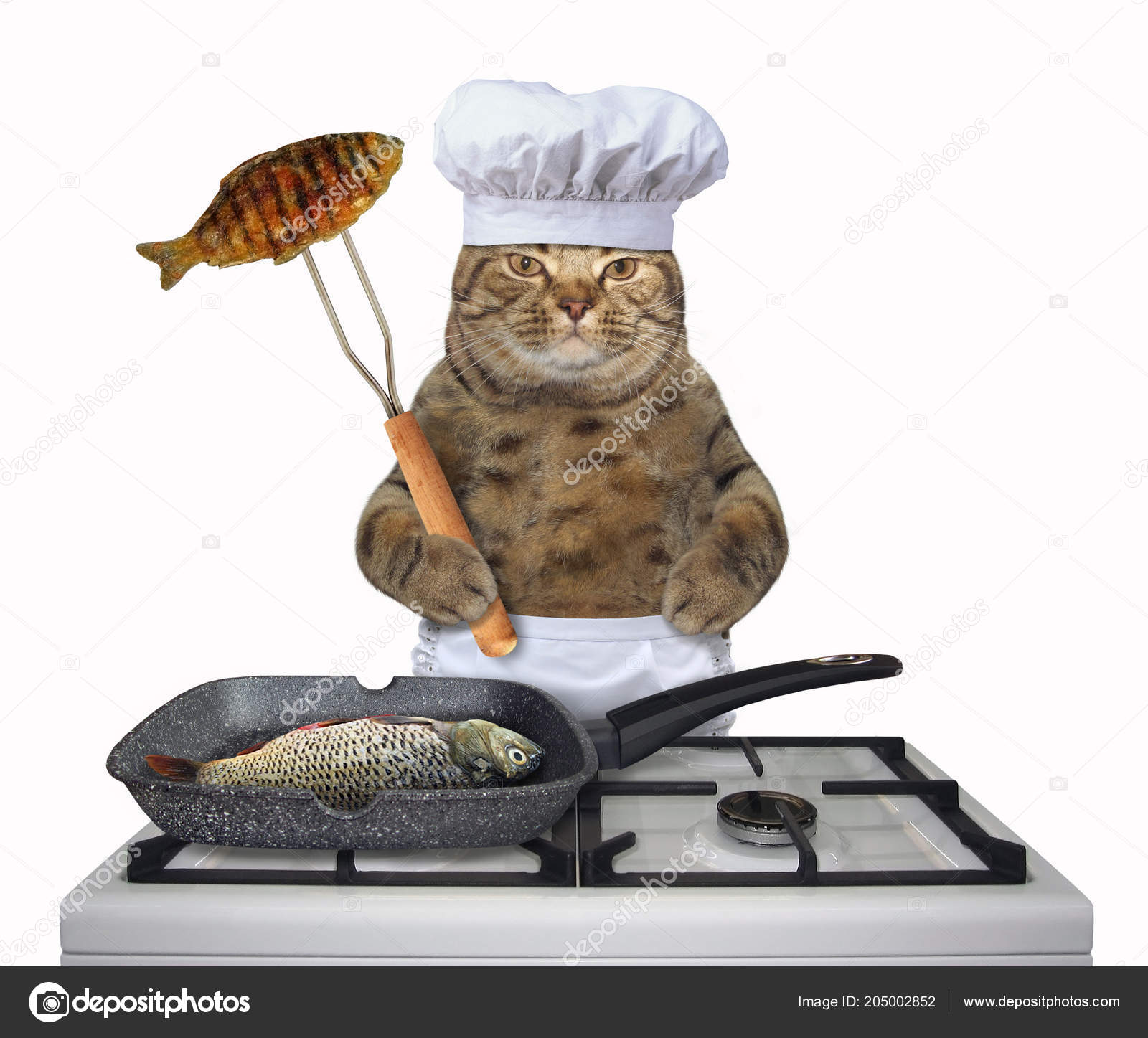 Chef Gatto Sta Friggendo Pesce Intero Una Padella Griglia Quadrata