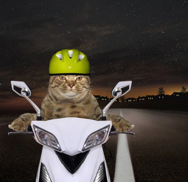 The cat in a green motorcycle helmet is riding a white scooter on the highway at night