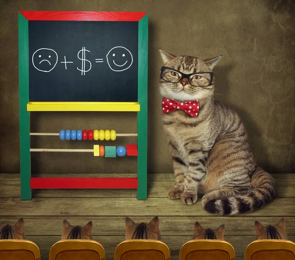 Macska Csokornyakkendő Szemüveg Vicces Matematika Tanítja Hallgatók Számára — Stock Fotó