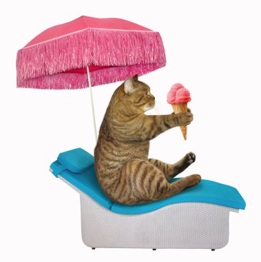 Kedi bir pembe şemsiyesi altında bir şezlong üzerinde meyve dondurma yiyor. Beyaz arka plan.