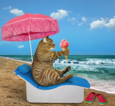 Kedi bir pembe şemsiyesi altında bir şezlong deniz kıyısında meyve dondurma yiyor.