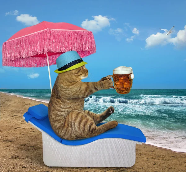 Die Katze Mit Sonnenhut Unter Einem Rosa Regenschirm Trinkt Bier — Stockfoto