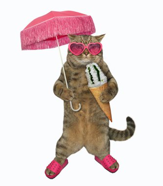 Pembe güneş gözlüğü ve plaj ayakkabı kedi dondurma bir şemsiye altında yiyor. Beyaz arka plan.