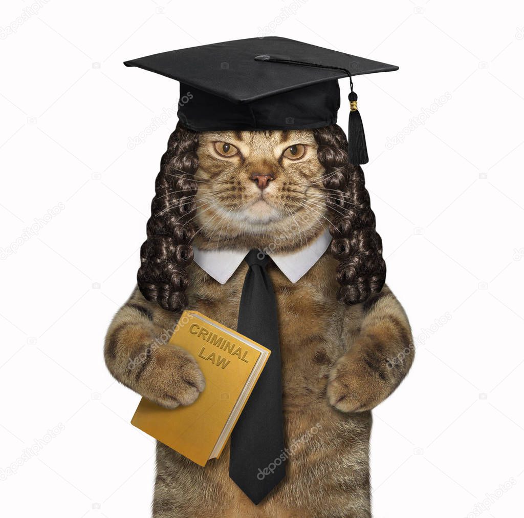 The cat professor in a square academic hat is holding a book 