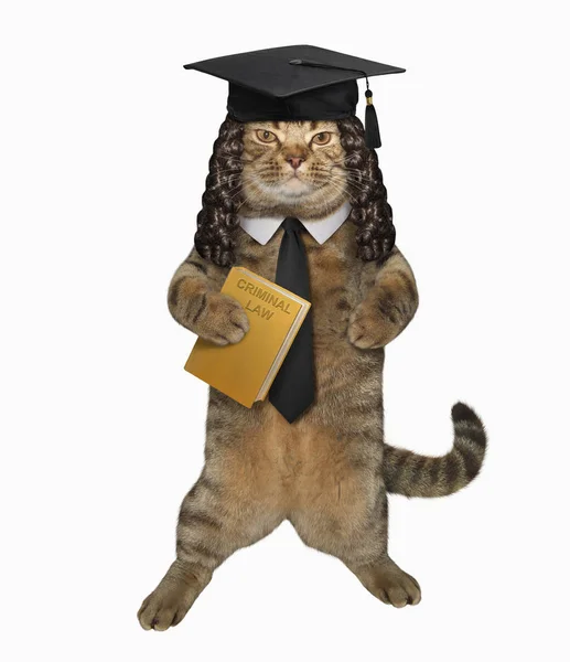 Cat Professor Square Academic Hat Holding Book Criminal Law White — Stock Photo, Image