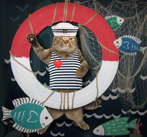 Der Katzensegler Steht Neben Einem Rettungsring Und Einem Fischernetz — Stockfoto