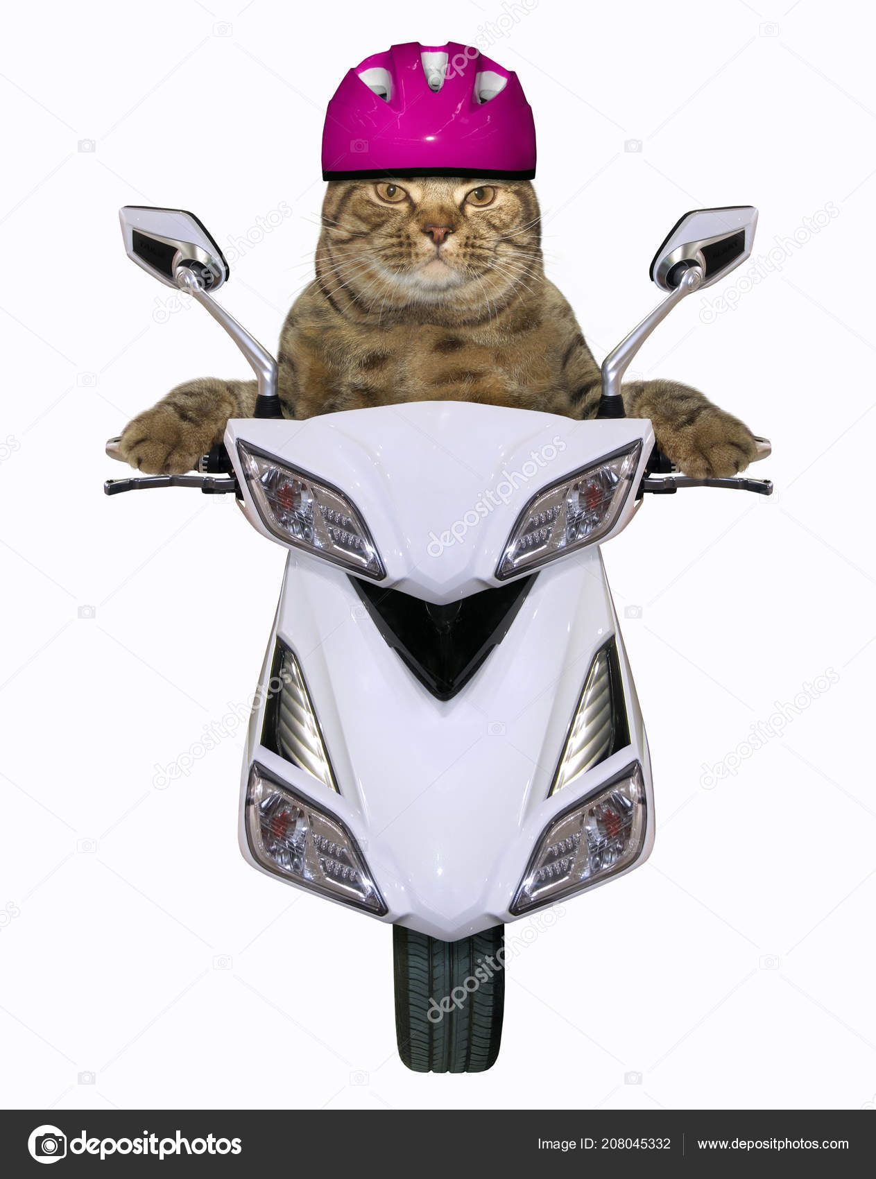 Chat Dans Casque Est Monté Sur Scooter Blanc Fond Blanc