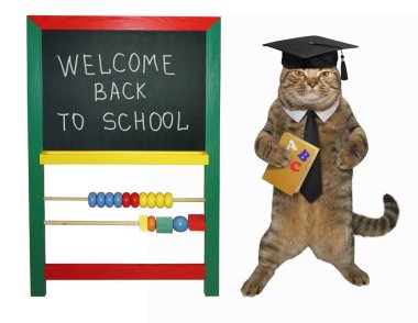Kare akademik şapkalı kedi öğretmen bir kitap blackboard 