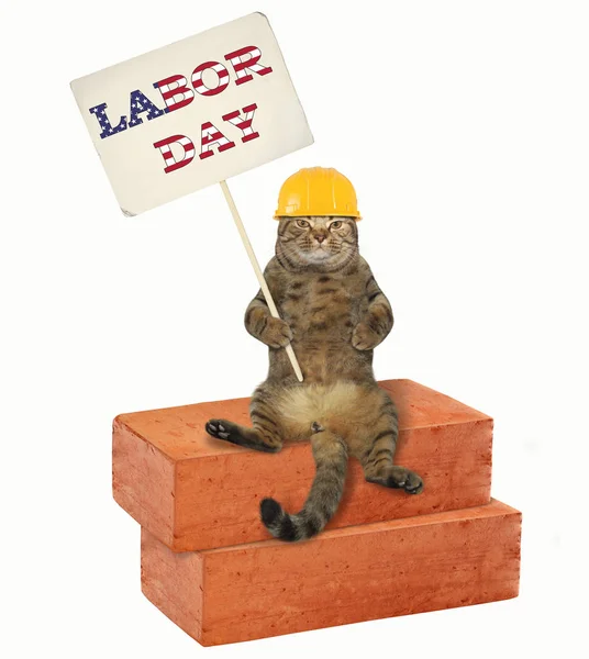 Der Katzenbauer Mit Dem Gelben Helm Sitzt Auf Ziegelsteinen Und — Stockfoto