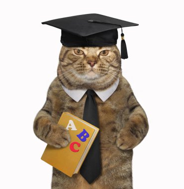 Kare akademik şapkalı kedi öğretmen bir kitap 