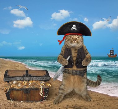 Bir sandık dolusu hazineleri kedi korsan üzerinde deniz kıyısı olan.
