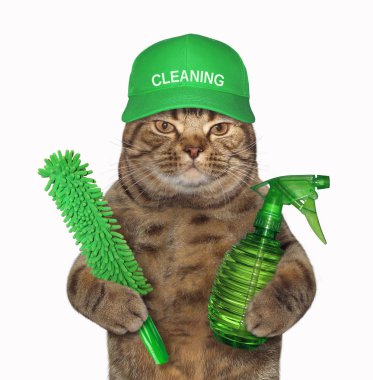 Yeşil şapkalı kedi bir sprey şişesinde ve toz fırçası tutar. Beyaz arka plan.