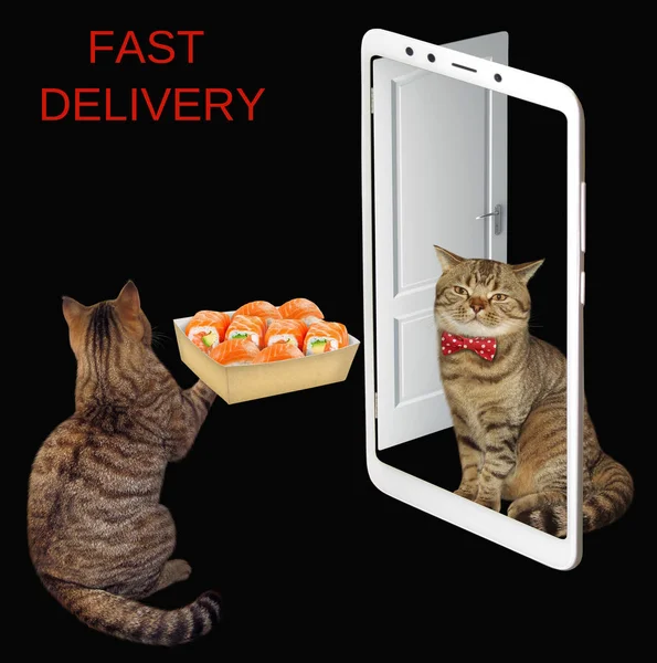 Cat Delivers Box Sushi Customer Home Door Looks Smartphone Black — Stock Photo, Image