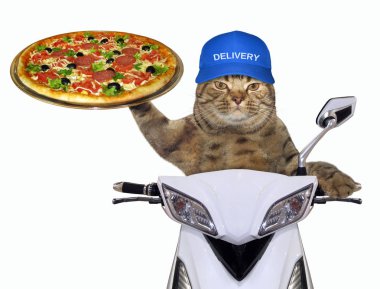 Mavi şapkalı kedi scooter üzerinde pizza teslim eder. Beyaz arka plan.