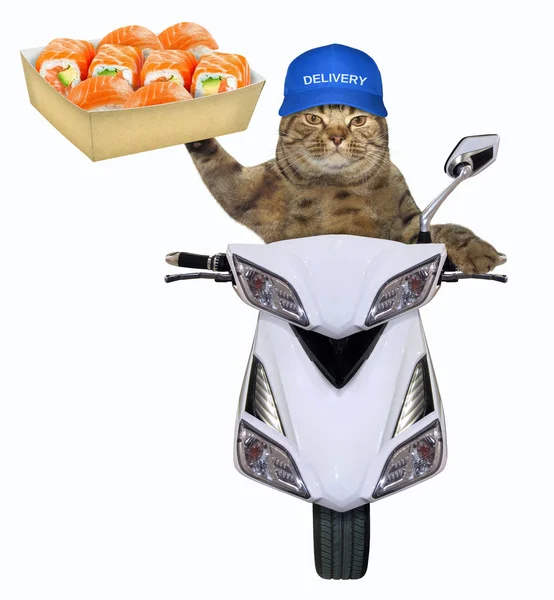 Katten Blå Mössa Levererar Låda Sushi Skoter Vit Bakgrund — Stockfoto